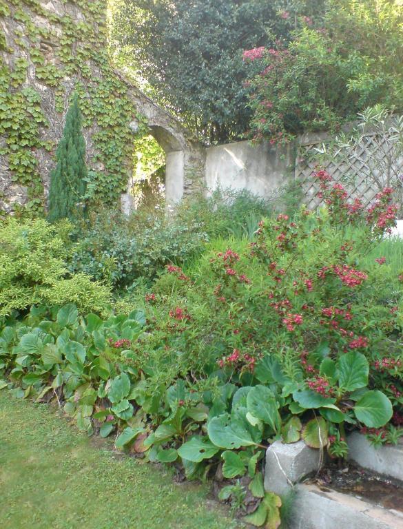 Bed and Breakfast L'Affable Les Cammazes Exterior foto